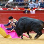 Valencia. Viernes 26 de julio de 2019