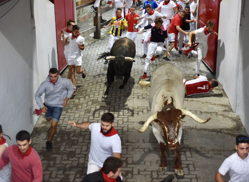 Encierro 7 de julio. Toros de Puerto de San Lorenzo