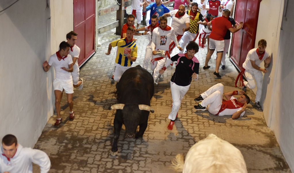 Encierro 7 de julio. Toros de Puerto de San Lorenzo