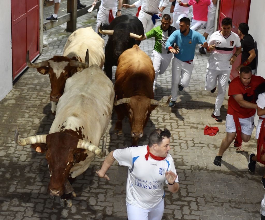 Encierro 7 de julio. Toros de Puerto de San Lorenzo