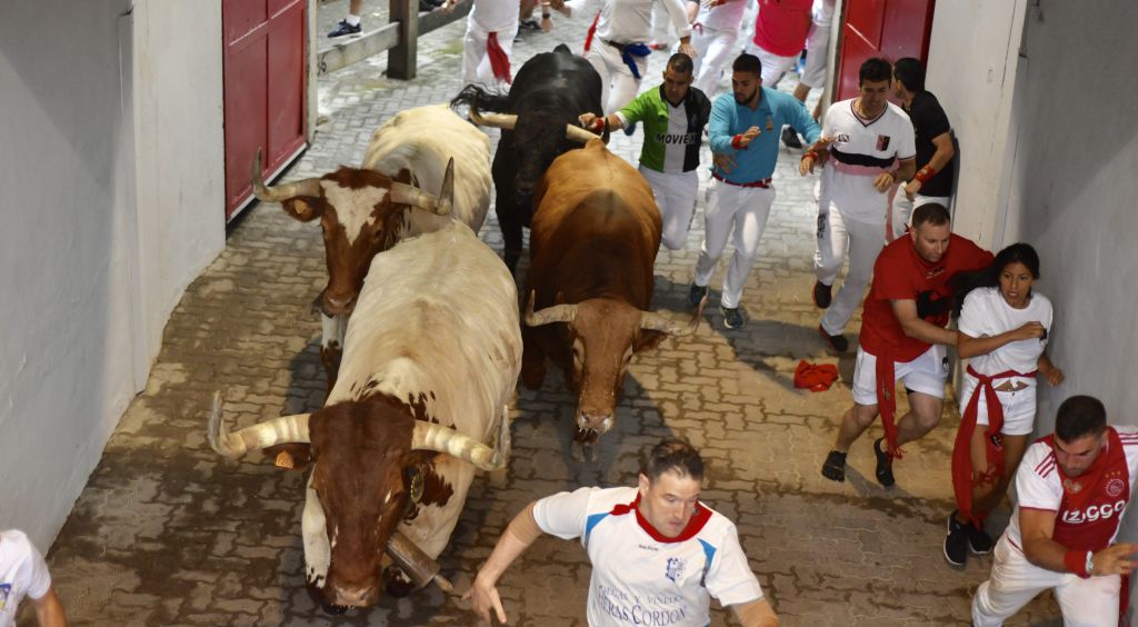 Encierro 7 de julio. Toros de Puerto de San Lorenzo