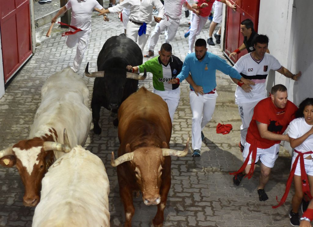 Encierro 7 de julio. Toros de Puerto de San Lorenzo