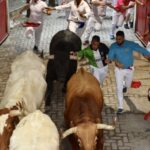 Encierro 7 de julio. Toros de Puerto de San Lorenzo