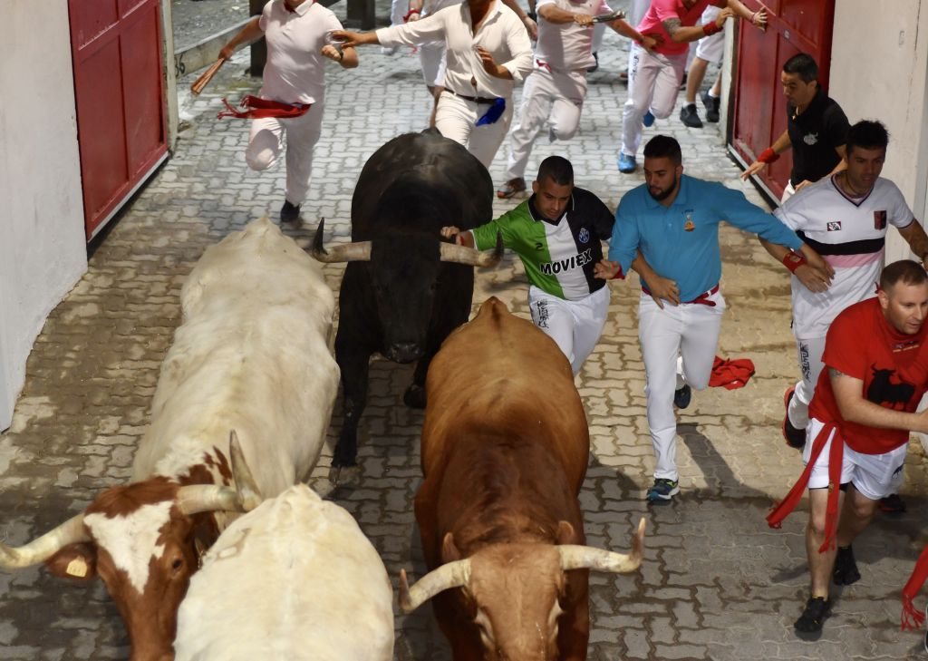 Encierro 7 de julio. Toros de Puerto de San Lorenzo