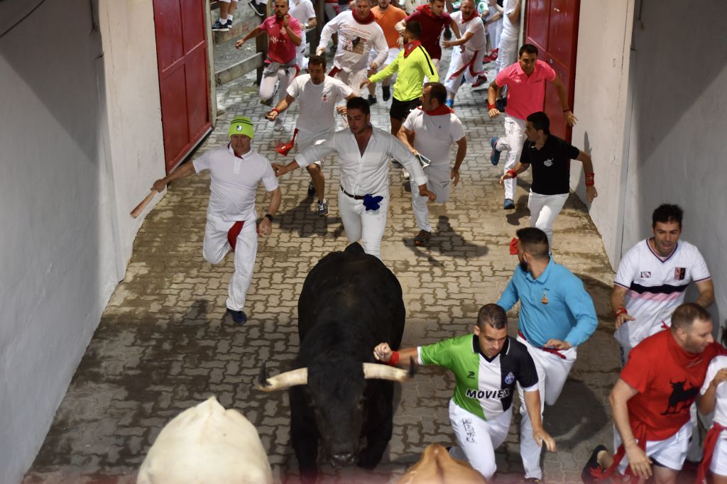 Encierro 7 de julio. Toros de Puerto de San Lorenzo