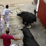 Encierro 7 de julio. Toros de Puerto de San Lorenzo