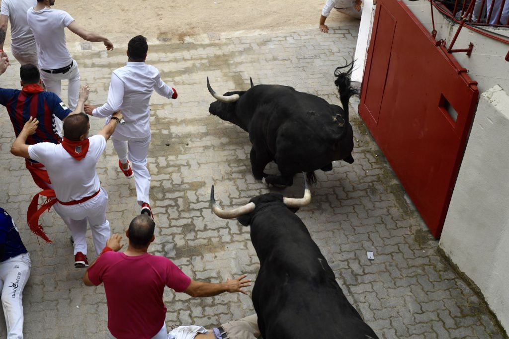Encierro 7 de julio. Toros de Puerto de San Lorenzo