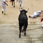 Encierro 7 de julio. Toros de Puerto de San Lorenzo
