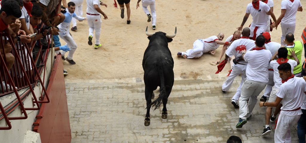 Encierro 7 de julio. Toros de Puerto de San Lorenzo