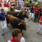 Pamplona, sábado 13 de julio de 2019. Encierro con toros de La Palmosilla