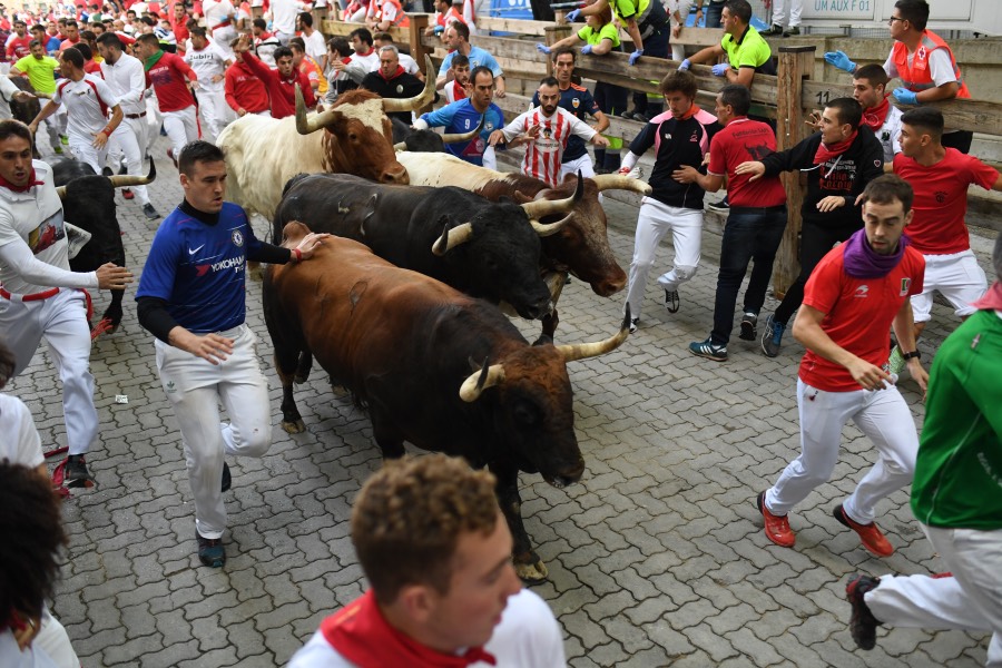 Pamplona, sábado 13 de julio de 2019. Encierro con toros de La Palmosilla