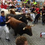 Pamplona, sábado 13 de julio de 2019. Encierro con toros de La Palmosilla