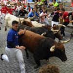 Pamplona, sábado 13 de julio de 2019. Encierro con toros de La Palmosilla