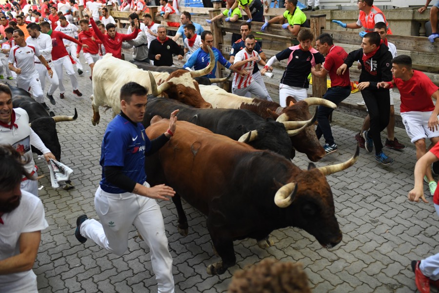 Pamplona, sábado 13 de julio de 2019. Encierro con toros de La Palmosilla