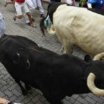 Pamplona, sábado 13 de julio de 2019. Encierro con toros de La Palmosilla