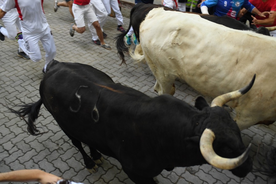 Pamplona, sábado 13 de julio de 2019. Encierro con toros de La Palmosilla