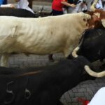 Pamplona, sábado 13 de julio de 2019. Encierro con toros de La Palmosilla
