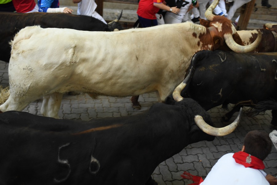 Pamplona, sábado 13 de julio de 2019. Encierro con toros de La Palmosilla