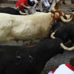 Pamplona, sábado 13 de julio de 2019. Encierro con toros de La Palmosilla