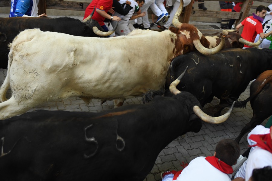 Pamplona, sábado 13 de julio de 2019. Encierro con toros de La Palmosilla