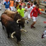Pamplona, sábado 13 de julio de 2019. Encierro con toros de La Palmosilla
