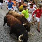 Pamplona, sábado 13 de julio de 2019. Encierro con toros de La Palmosilla