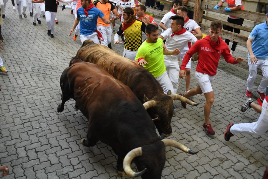 Pamplona, sábado 13 de julio de 2019. Encierro con toros de La Palmosilla