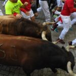 Pamplona, sábado 13 de julio de 2019. Encierro con toros de La Palmosilla