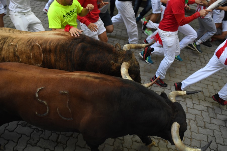 Pamplona, sábado 13 de julio de 2019. Encierro con toros de La Palmosilla