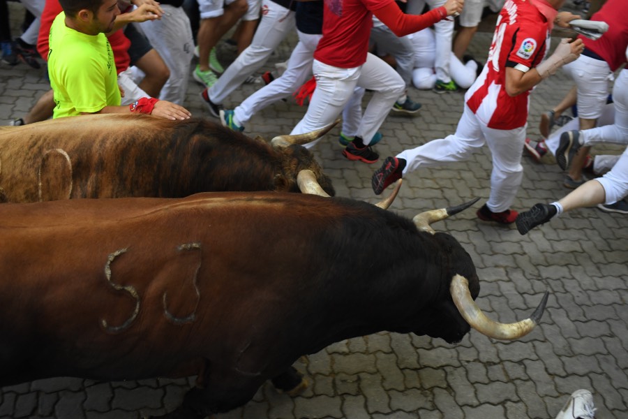 Pamplona, sábado 13 de julio de 2019. Encierro con toros de La Palmosilla