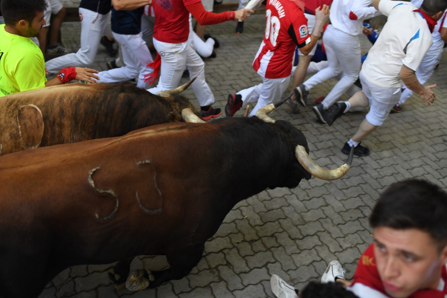 Pamplona, sábado 13 de julio de 2019. Encierro con toros de La Palmosilla