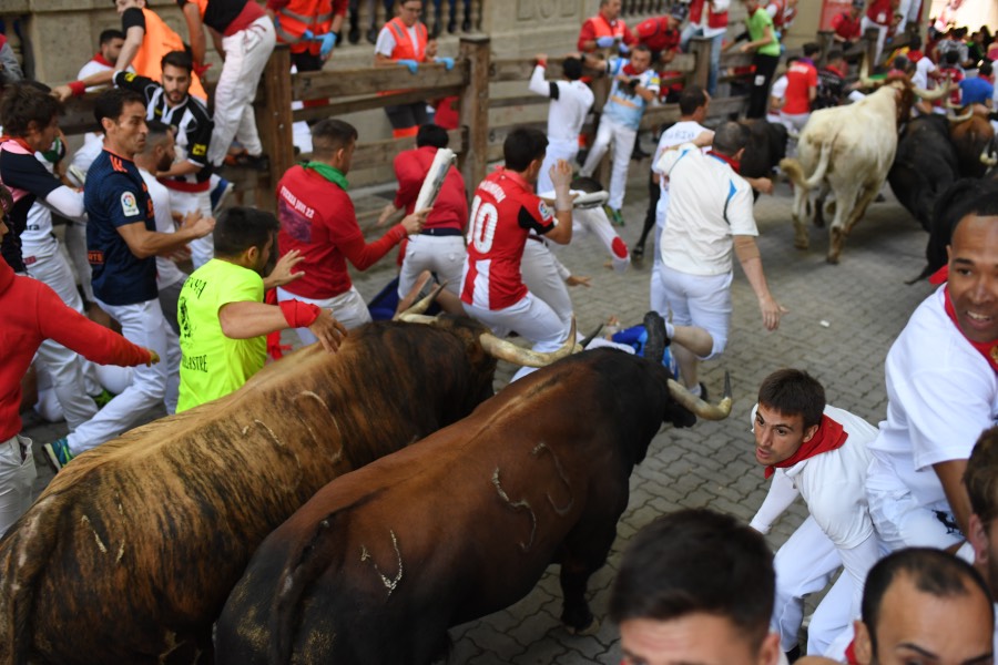 Pamplona, sábado 13 de julio de 2019. Encierro con toros de La Palmosilla