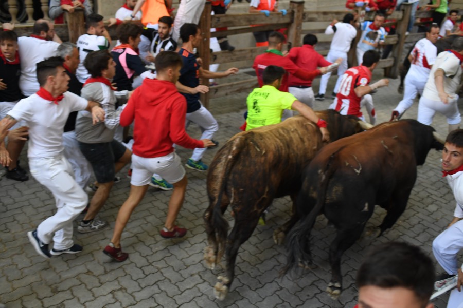 Pamplona, sábado 13 de julio de 2019. Encierro con toros de La Palmosilla