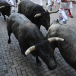 Pamplona, domingo 14 de julio de 2019. Encierro con toros de Miura