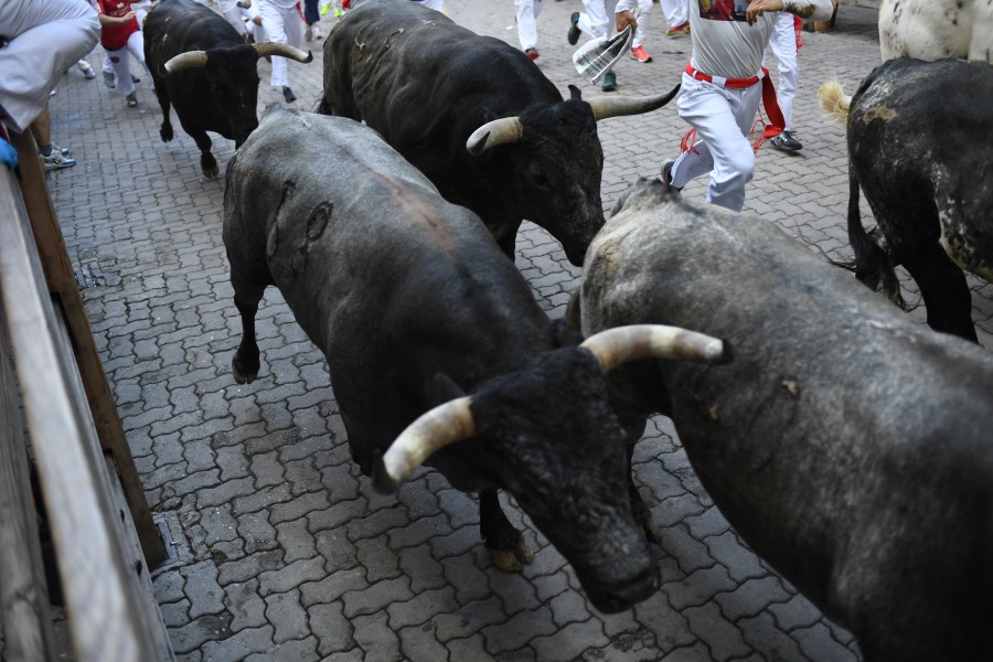 Pamplona, domingo 14 de julio de 2019. Encierro con toros de Miura