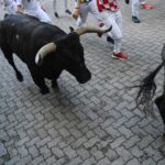 Pamplona, domingo 14 de julio de 2019. Encierro con toros de Miura