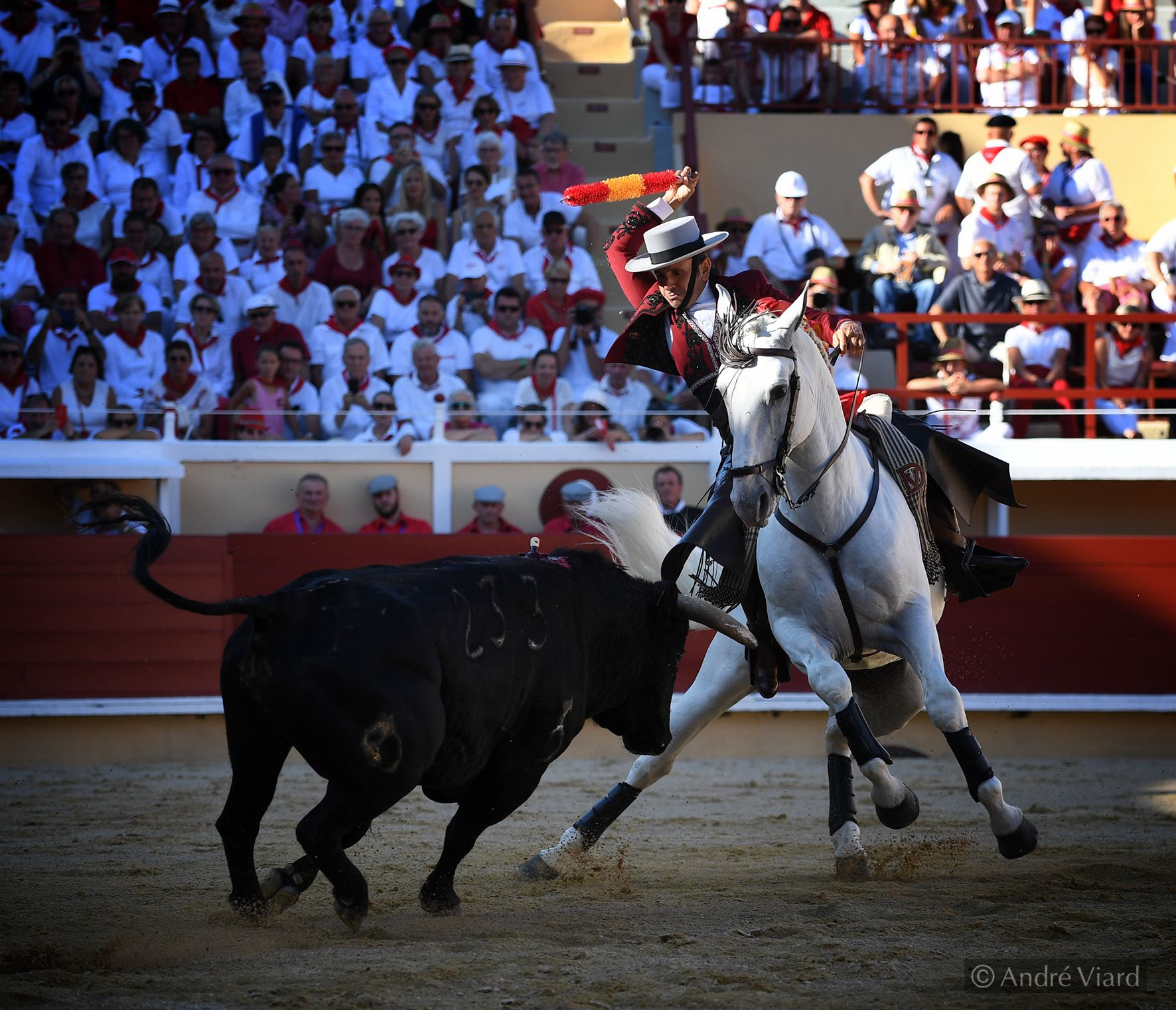 Bayona. Domingo 28 de julio de 2019