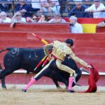 Valencia. Sábado 27 de julio de 2019