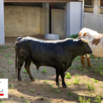 Sorteo. Santander, 21 de julio de 2019