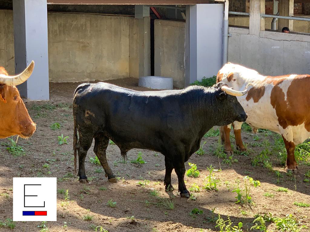 Sorteo. Santander, 21 de julio de 2019