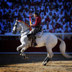 Valencia. Viernes 26 de julio de 2019