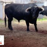 Sorteo. Santander, 21 de julio de 2019