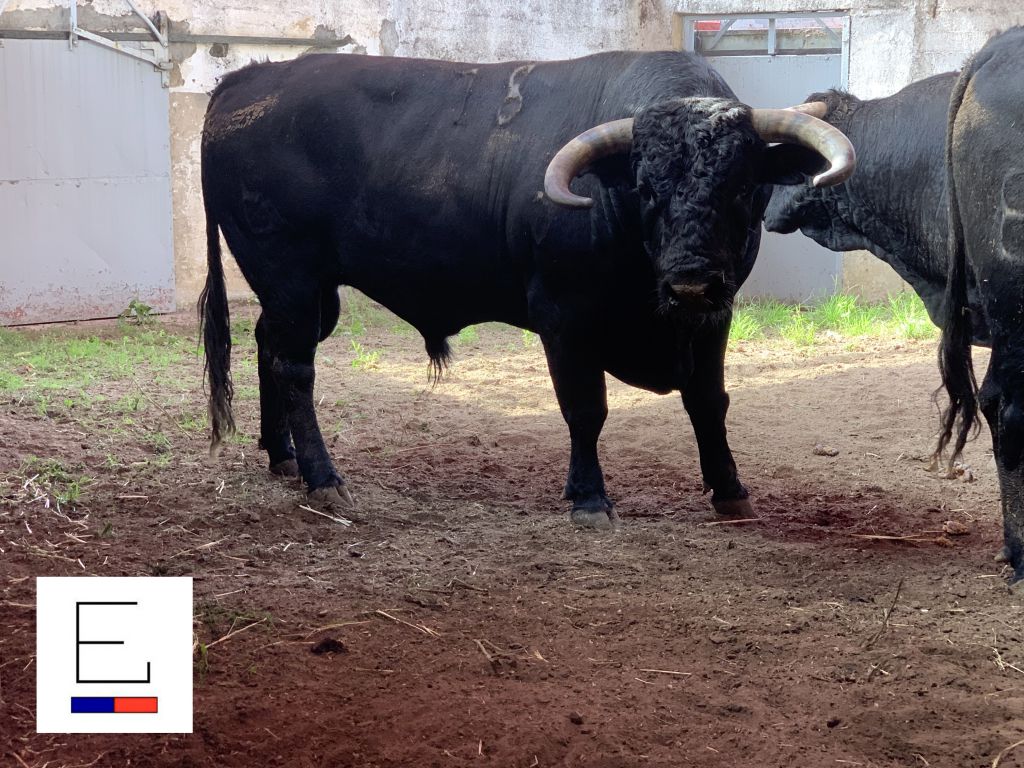 Sorteo. Santander, 21 de julio de 2019