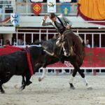 Lunel, domingo 21 de julio de 2019