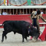 Lunel, domingo 21 de julio de 2019