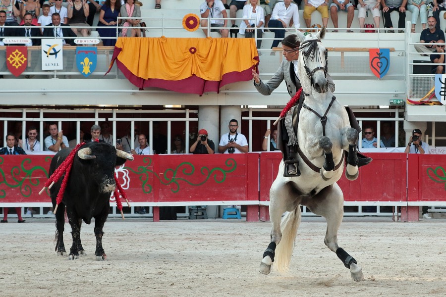 Lunel, domingo 21 de julio de 2019