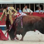 Lunel, domingo 21 de julio de 2019