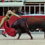 Lunel, domingo 21 de julio de 2019