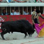 Lunel, domingo 21 de julio de 2019