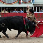 Lunel, domingo 21 de julio de 2019